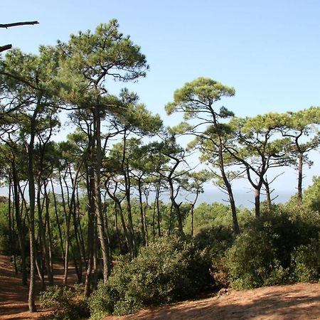 Villa Familiale A 300M De La Plage De L'Ocean サン・ブルヴァン・レ・パン エクステリア 写真
